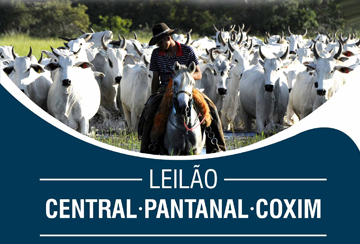 LEILÃO VIRTUAL CENTRAL - PANTANAL - COXIM