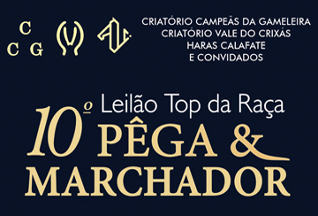 10º LEILÃO TOP DA RAÇA PÊGA & MARCHADOR