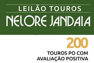 LEILÃO TOUROS NELORE JANDAIA