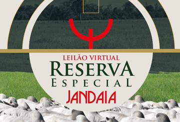 LEILÃO VIRTUAL RESERVA ESPECIAL NELORE JANDAIA
