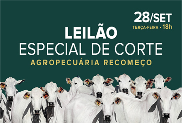 LEILÃO ESPECIAL DE CORTE AGROPECUÁRIA RECOMEÇO
