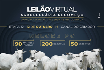 LEILÃO VIRTUAL AGROPECUÁRIA RECOMEÇO - LIQUIDAÇÃO TOTAL - ETAPA 12
