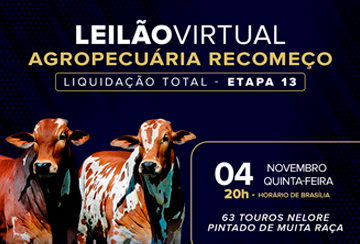 LEILÃO VIRTUAL AGROPECUÁRIA RECOMEÇO - LIQUIDAÇÃO TOTAL - ETAPA 13
