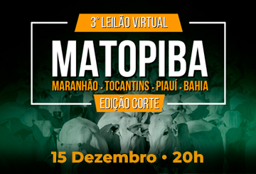3º LEILÃO VIRTUAL MATOPIBA - EDIÇÃO CORTE