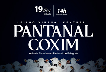 LEILÃO VIRTUAL CENTRAL - PANTANAL - COXIM