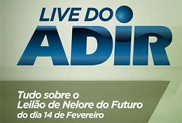 LIVE DO ADIR - TUDO SOBRE O LEILﾃグ DE NELORE DO FUTURO