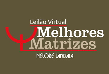 LEILÃO VIRTUAL MELHORES MATRIZES NELORE JANDAIA