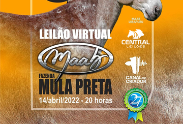 36º LEILÃO VIRTUAL MAAB - FAZENDA MULA PRETA