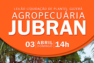 LEILÃO LIQUIDAÇÃO DE PLANTEL GUZERÁ AGROPECUÁRIA JUBRAN