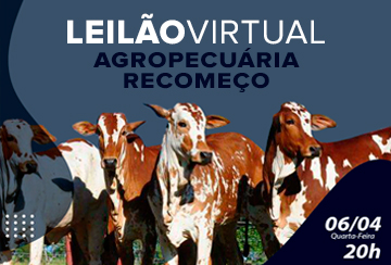 LEILÃO VIRTUAL AGROPECUÁRIA RECOMEÇO