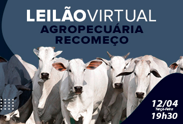 LEILÃO VIRTUAL AGROPECUÁRIA RECOMEÇO