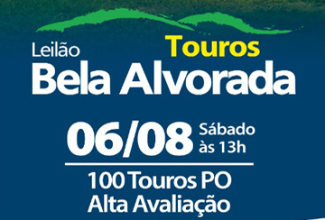 LEILÃO TOUROS BELA ALVORADA