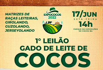 1º LEILÃO GADO DE LEITE DE COCOS