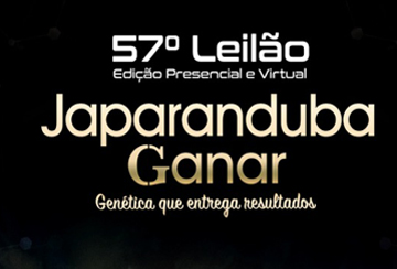 57º LEILÃO JAPARANDUBA GANAR - TOUROS