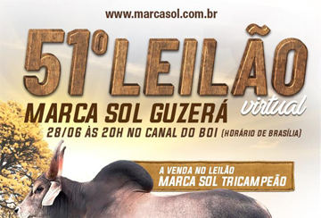 51º LEILÃO VIRTUAL MARCA SOL GUZERÁ