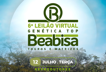 6º LEILÃO VIRTUAL GENÉTICA TOP BEABISA - REPRODUTORES