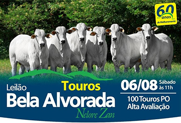 LEILﾃグ TOUROS BELA ALVORADA - NELORE ZAN