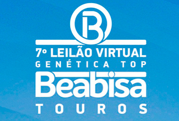 7º LEILÃO VIRTUAL GENÉTICA TOP BEABISA - TOUROS