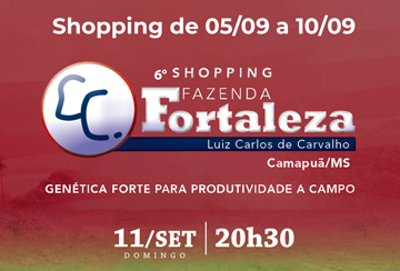 6ﾂｺ SHOPPING FAZENDA FORTALEZA (DE OLHO NA FAZENDA DE 05 A 10/09)
