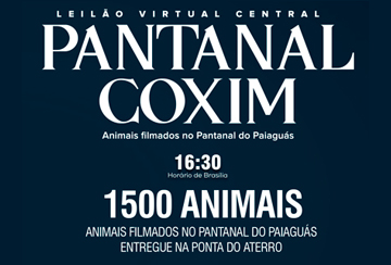 LEILﾃグ VIRTUAL CENTRAL PANTANAL COXIM