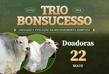 LEILﾃグ TRIO BONSUCESSO - DOADORAS