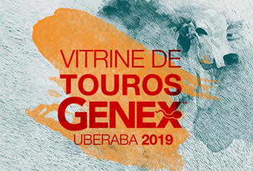 VITRINE DE TOUROS GENEX - UBERABA 2019 - DE 17/08 A 23/08