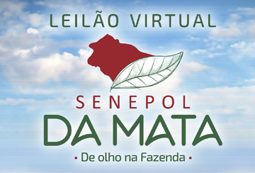 LEILÃO VIRTUAL SENEPOL DA MATA - DE OLHO NA FAZENDA DE 12/11 A 15/11