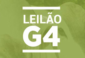 LEILﾃグ G4