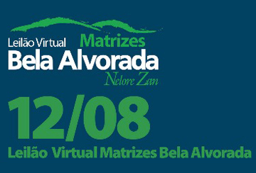 LEILÃO VIRTUAL MATRIZES BELA ALVORADA NELORE ZAN