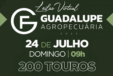 LEILÃO VIRTUAL GUADALUPE AGROPECUÁRIA - ETAPA TOUROS