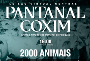 LEILﾃグ VIRTUAL CENTRAL PANTANAL COXIM