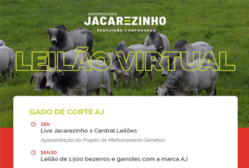 LEILÃO VIRTUAL GADO DE CORTE AGROPECUÁRIA JACAREZINHO