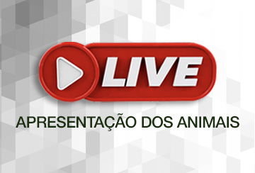 LIVE APRESENTAÇÃO DOS ANIMAIS - LEILÃO VL AGROPECUÁRIA E FAZENDA VENEZA