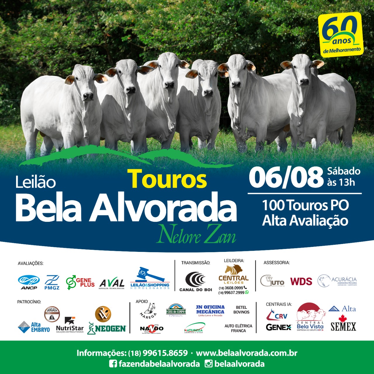 LEILÃO TOUROS BELA ALVORADA - NELORE ZAN
