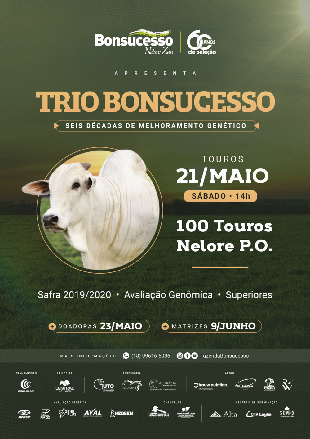 LEILÃO TRIO BONSUCESSO - TOUROS