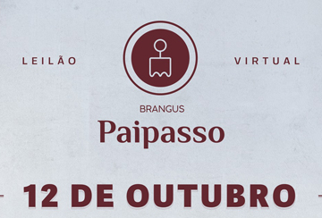 LEILÃO VIRTUAL BRANGUS PAIPASSO