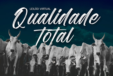 LEILÃO VIRTUAL QUALIDADE TOTAL - 08/02/2025